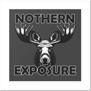 NORTHERN EXPOSURE Posters and Art